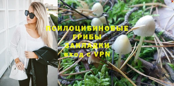 бутират Алексеевка