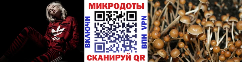 Псилоцибиновые грибы ЛСД  ссылка на мегу tor  Рубцовск 
