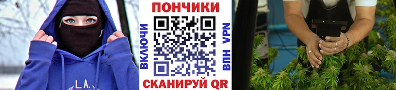 Бошки Шишки план Рубцовск